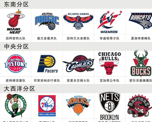 表国家队的